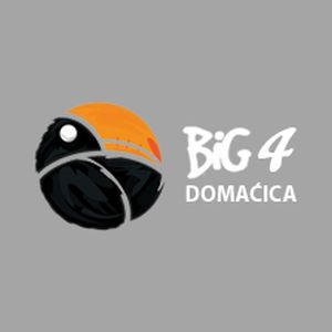 Logo de la station de radio BiG 4 Radio Domaćica