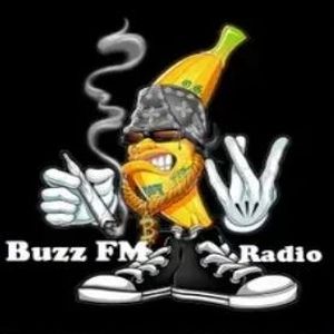Logo of radio station Buzz FM