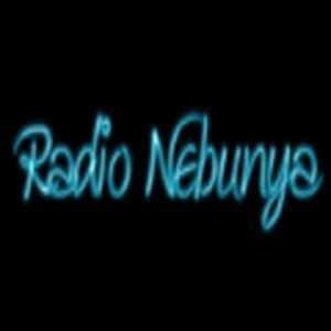 Logo of radio station Radio Nebunya