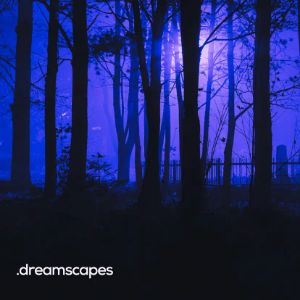 Logo de la station de radio BOX : Dreamscapes