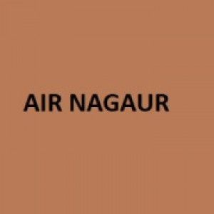 Logo de la station de radio AIR Nagaur