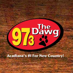 Logo of radio station KMDL 97.3 The Dawg