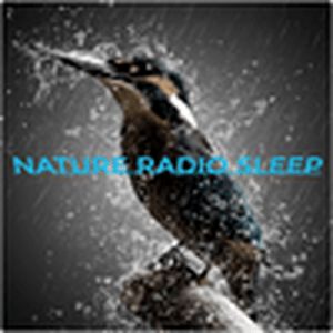 Logo of radio station Nature Radio Sleep