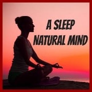 Logo of radio station A SLEEP NATURAL MIND