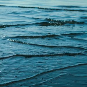 Logo of radio station Sleepscapes - Waves