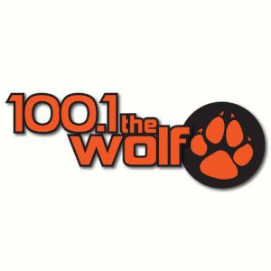 Logo of radio station WVMD 100.1 The Wolf