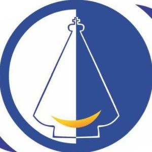 Logo of radio station Radio Morena 100.5 FM
