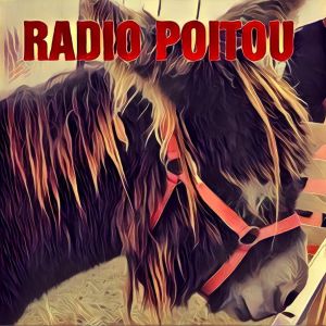 Logotipo de la emisora ​​de radio Radio Poitou