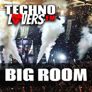 Logotipo de la emisora ​​de radio Technolovers - Big Room
