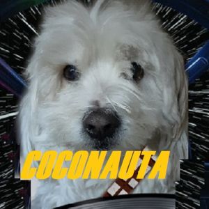 Logo of radio station Coconauta Radio