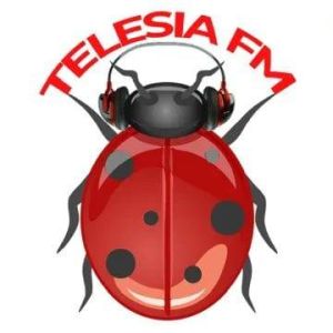 Logotipo de la emisora ​​de radio Radio Telesia FM