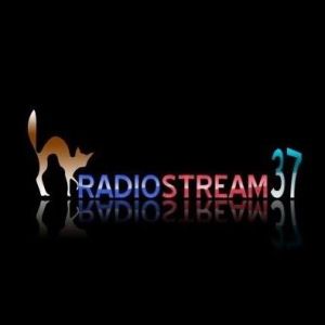 Logo of radio station Radio Stream 37