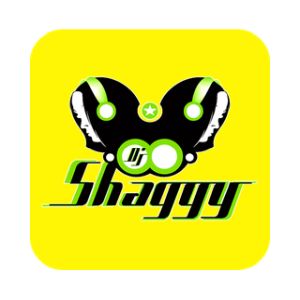 Dj Shaggy Venezuela