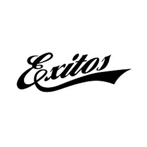 Logo of radio station Exitos 99.9 FM